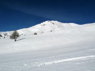 Punta Aquiletta vista salendo verso la Leysser