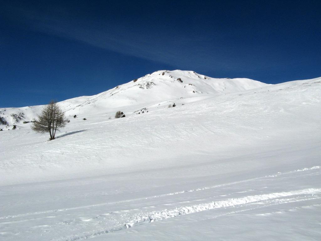Punta Aquiletta vista salendo verso la Leysser