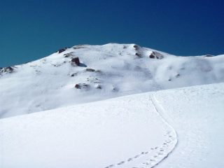 Aquiletta