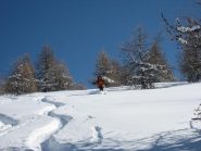Cri all'opera (5 stelle !!!)