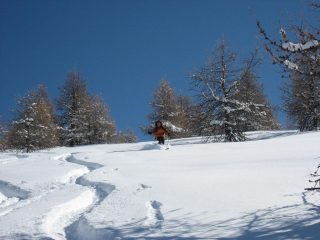 Cri all'opera (5 stelle !!!)