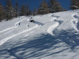 anche loro all'opera, tostissimi !