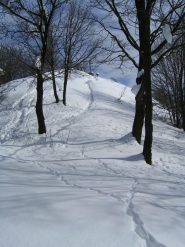 Vicino al cucuzzolo della cima