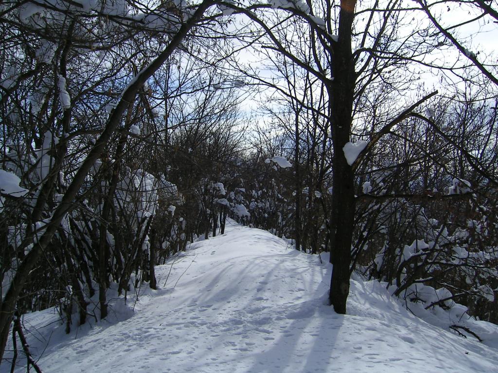 Dorsale dopo la Piazzetta Orologi Solari
