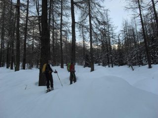 in salita nel bosco
