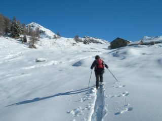 arrivando all'alpeggio