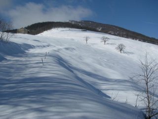 Arrivo all'Alpe Monsuffietto