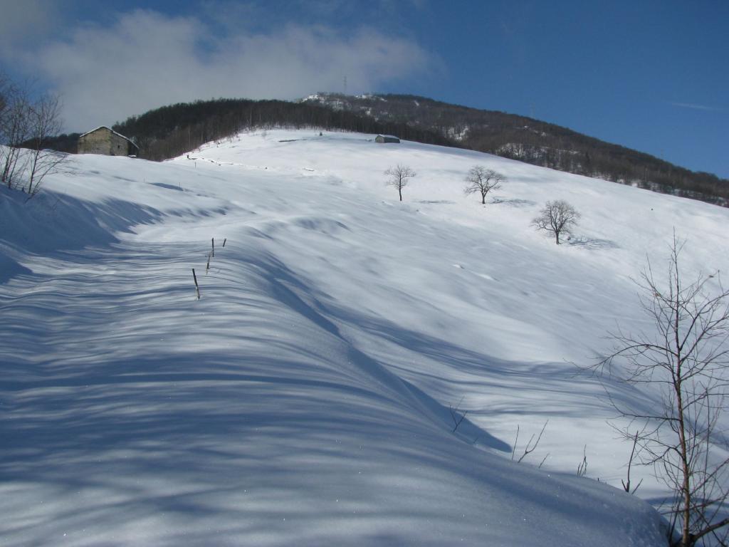 Arrivo all'Alpe Monsuffietto