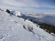 Fuori dal bosco
