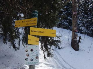 Indicazioni