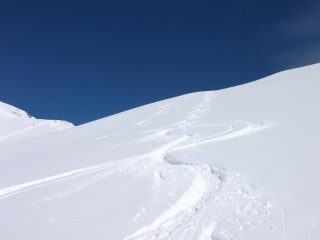 farina marzolina