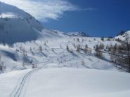 Ampi spazi di neve farinosa