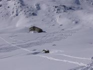 Bella aratura fatta ieri