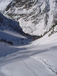 ecco cosa ci aspetta