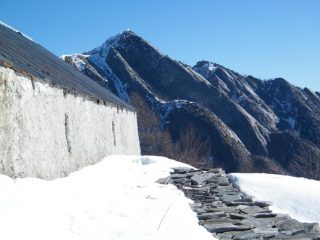 Il Pizzo Ruscada dall'Alpe Rovina Sup.