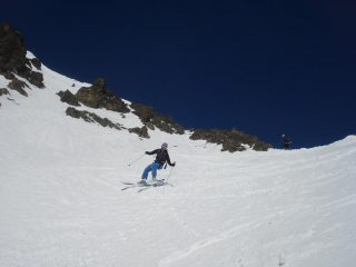 FlyFeis