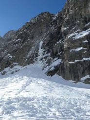 il delicato conoide basale