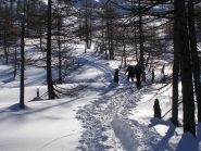 Ambiente magico