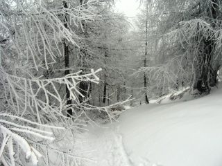 nebbia in salita