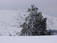 Poca neve