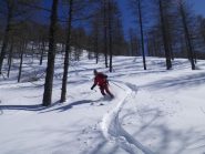 nel bosco