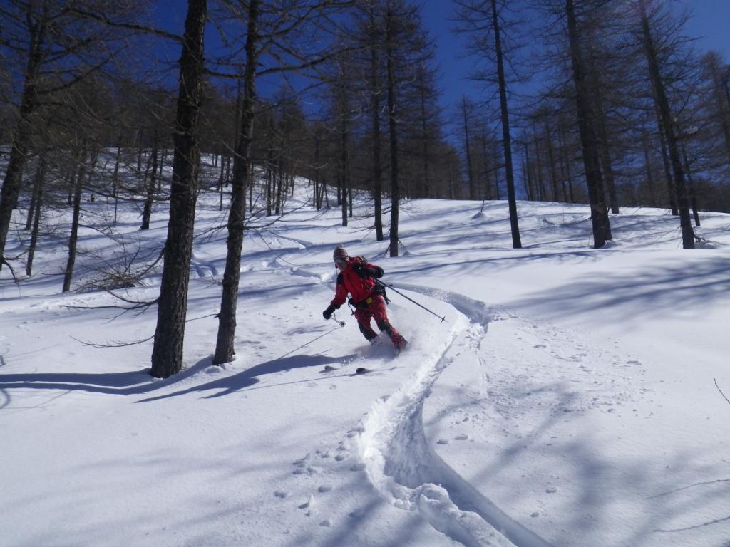 nel bosco