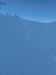 a nord non male