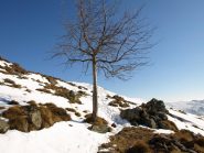 Un tratto del sentiero della Ivrea-Mombarone