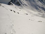 Discesa sul tracciato della salita sul versante sud-ovest del Mombarone