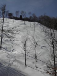 21.Prima parte del pendio su cui sono salito direttamente al Chiot.