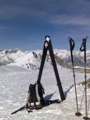 in cima