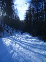 Imbocco strada da curva della Batteria