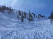 fuori dal bosco fitto