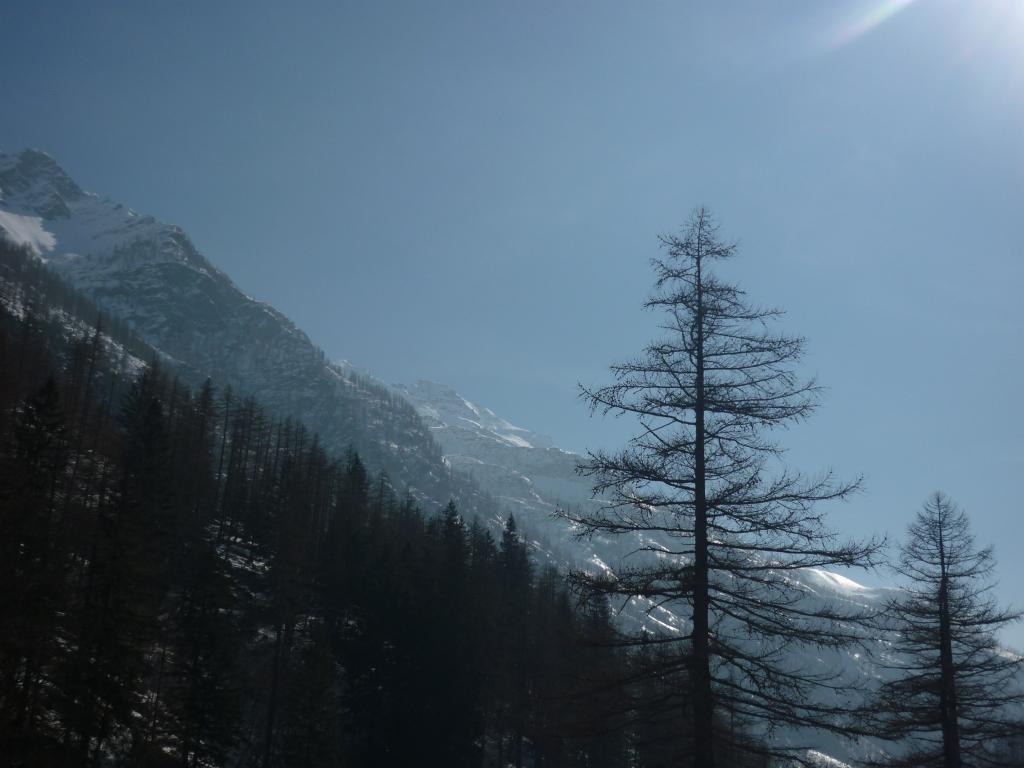 la nostra cima dal basso