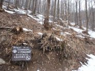 bosco disinfestato!!