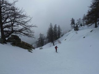 Nel vallone Valauretta