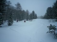 discesa nel bosco rado - 2