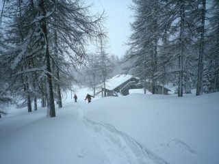 arrivando al rif.Amprimo