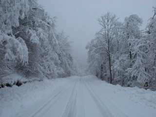 strada per Pian Munè q. 1000 m