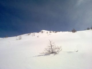 la ns destinazione, neve vergine