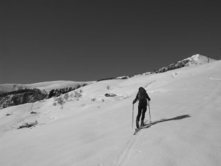 in basso trasformata