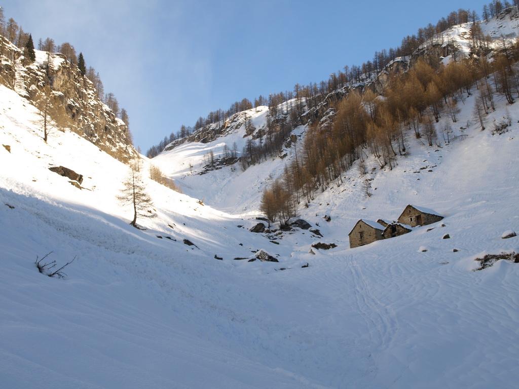 Alpe Cologno