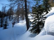 quasi fuori dal bosco