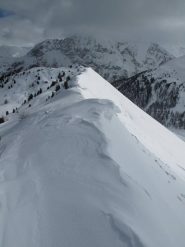 In vetta
