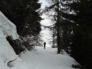 Sulla stradina nel bosco