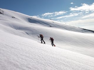 liscio liscio