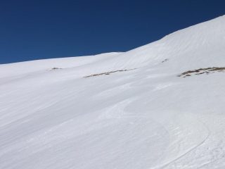 firnissimo