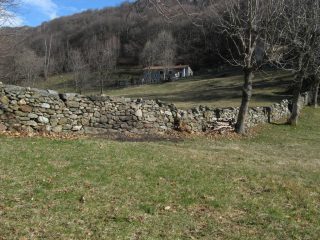 A Terrafredda