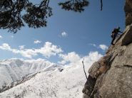 come sfondo, punta aquila