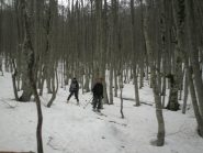 faggeta piana grande